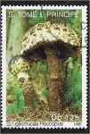 Sellos de Africa - Santo Tom� y Principe -  Hongos 1992, Strobilomyces Floccopus
