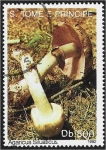 Stamps S�o Tom� and Pr�ncipe -  Hongos 1992, Agaricus Siluaticus