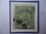Stamps : America : Bolivia :  Nuevo Escudo de armas (Con 9 Estrella) - Sello de 5 Ctvos. Año 1894