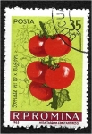 Stamps Romania -  Verduras, tomates (Lycopersicon esculentum)