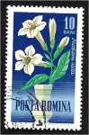 Stamps Romania -  Flores de jardín, planta 