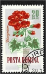 Sellos de Europa - Rumania -  Flores de jardín, geranio de manzana (Pelargonium odoratissimum)