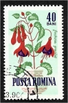 Sellos de Europa - Rumania -  Flores de jardín, fucsia (Fuchsia gracilis)