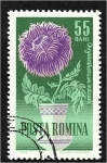 Sellos de Europa - Rumania -  Flores de jardín, Margarita de la madre (Chrysanthemum indicum)