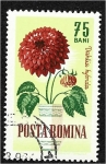 Stamps Romania -  Flores de jardín, Dalia (Dahlia hybrida)