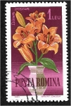 Stamps Romania -  Flores de jardín, lirio naranja (Lilium croceum)