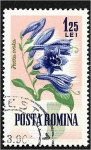Stamps Romania -  Flores de jardín, Hosta (Hosta ovata)
