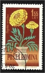 Stamps Romania -  Flores de jardín, caléndula francesa (Tagetes erecta)