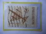 Stamps Argentina -  Correo Aéreo-Avión Estilizado-Sello de m$n 26 pesos moneda nacional argentina. Año 1967.