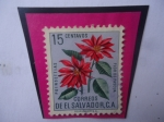 Stamps El Salvador -  Flor de Pascua (Poinsettias)-Serie: Flores- Sello de 15 Ctvs. Año 1960.