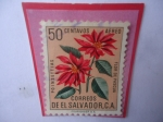 Sellos de America - El Salvador -  Flor de Pascua (Poinsettias)-Serie: Flores- Sello de 50 Ctvs. Año 1960.