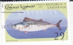 Stamps Morocco -  PEZ- Sarda chiliensis