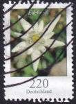 Stamps Germany -  Leontopodium nivale