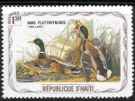 Stamps Haiti -  Aves (cenicientas)