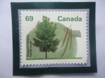 Stamps Canada -  Árboles Frutales y de Nueces-Shagbark Hickory ó Caryer Ovale (Juglandaceae)