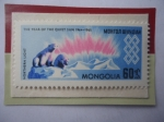 Stamps Mongolia -  Año Internacional del Sol (1964/65)- Año del Sol Quieto - Luz del Norte - Osos- Sello de 60 Möngö.