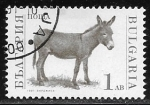 Stamps Bulgaria -  Animal domestico - burro