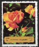 Sellos de Asia - Emiratos �rabes Unidos -  Flores - rosas
