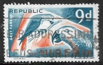 Sellos de Africa - Nigeria -  Aves - Grey Parrot