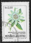 Stamps Argentina -  Passiflora coerulea