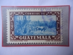 Stamps Guatemala -  Corte de la Caña de Azúcar - Propaganda Turística- Sello de 1/2 Ctvos. Guatemalteco. Año 1953.