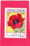 Stamps Bulgaria -  flor