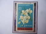 Stamps Indonesia -  Phalaenopsis amabilid- Serie: Día Social- Sello de 1,50+0,50 Rupia Indonesio. Año 1962