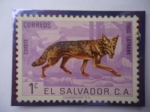 Stamps : America : El_Salvador :  Coyote- Thos Latrans - Canis Latrans - 