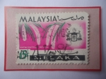 Sellos de Asia - Malasia -  Rhynchostylis Retusa - Serie: Flores, 1965-Sellode 15 Céntimos Malayo. Año 1965- Malaca (Estdo- Mala