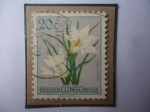 Sellos de Europa - B�lgica -  Congo Belga - Vellozia Aequatorialis - Serie: Flores- Sello de 20 Céntimos Belgas. Año 1952/60