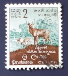 Stamps Sri Lanka -  Fauna silvestre