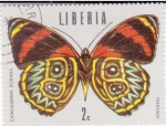 Stamps : Africa : Liberia :  mariposa