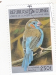 Stamps : Africa : Guinea :  ave