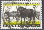 Stamps : Africa : Rwanda :  Fauna silvestre