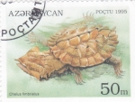 Sellos de Asia - Azerbaiy�n -  tortuga