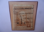 Stamps Argentina -  Domingo Faustino Sarmiento (1811-1888) Presidente (1868/74)-Sello Sobreimpreso 