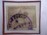Sellos de America - Venezuela -  EE.UU. de Venezuela-Traslado de la Estatua del Libertador  en Nueva York (19-IV-1951)