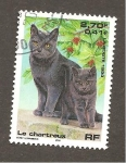 Stamps France -  CAMBIADO CR