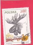 Stamps Poland -  Caza del alce
