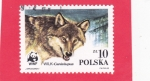 Stamps Poland -  Cabeza de lobo (Canis lupus)