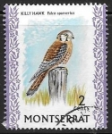 Stamps United Kingdom -  aves Monserrat