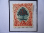 Stamps South Africa -  Árbol de naranja (Cuitrus sinensis)