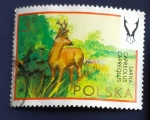 Sellos del Mundo : Europa : Polonia : Fauna silvestre