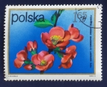 Sellos del Mundo : Europa : Polonia : Flores