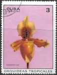 Stamps : America : Cuba :  flores