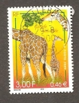 Stamps France -  CAMBIADO RA