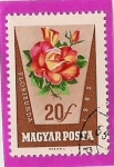 Stamps Hungary -  Flor