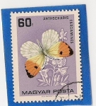 Stamps Hungary -  Mariposa