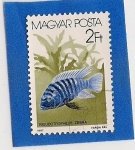 Stamps Hungary -  Pez