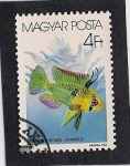 Stamps Hungary -  Pez